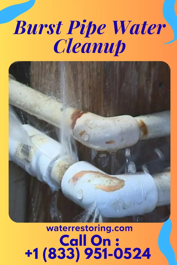Burst Pipe Water Cleanup in Readlyn, IA
