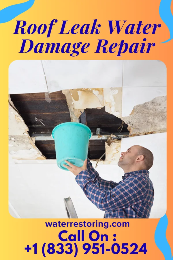 Roof Leak Water Damage Repair in Readlyn, IA